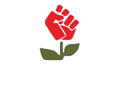 revolution logo in white