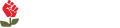 revolution logo in white